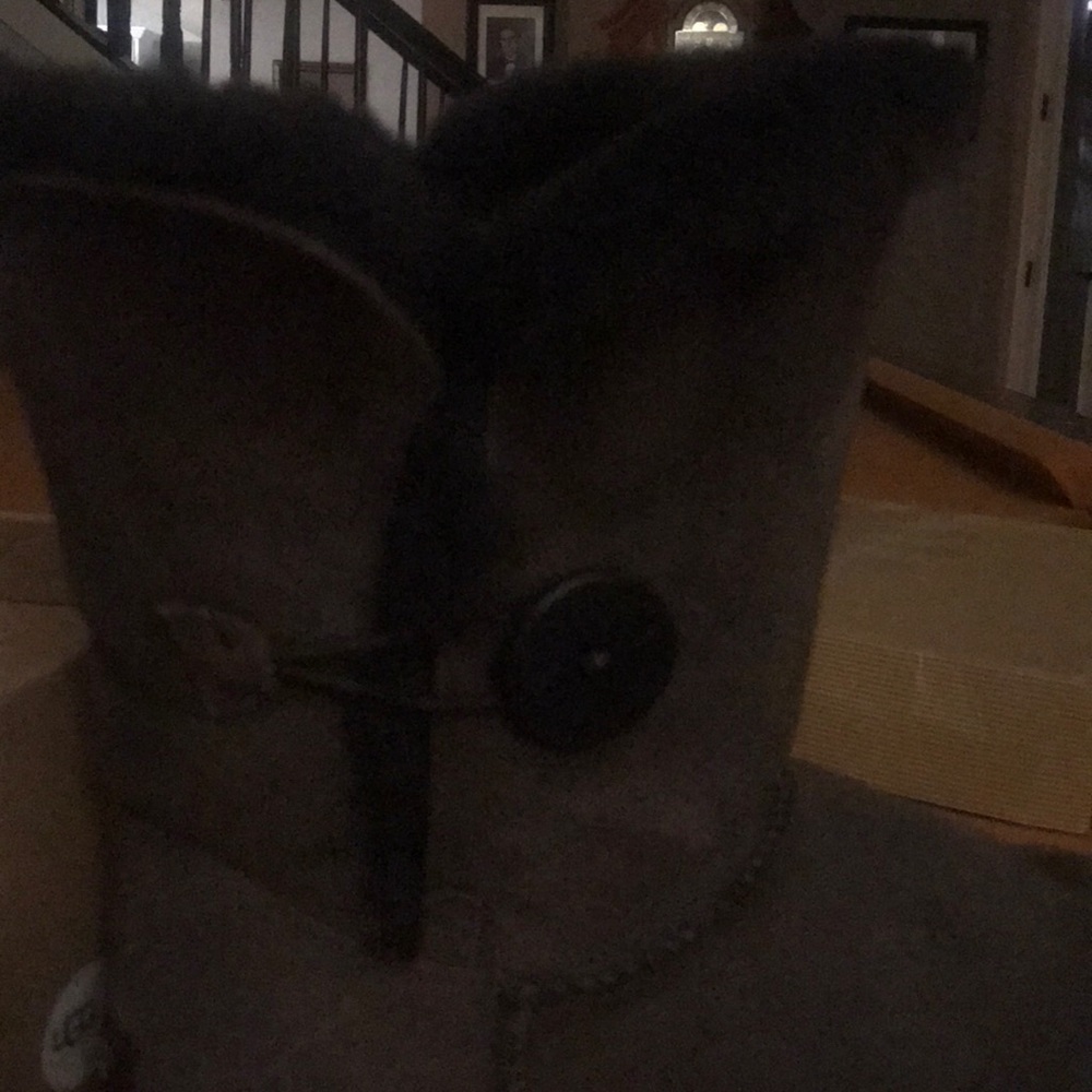 Authentic Ugg With Bailey Button. - image 4